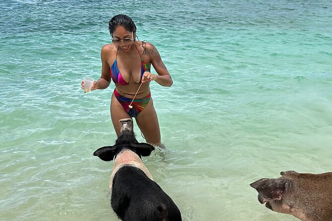 Luxury Catamaran Cruise: Sip, Sail, Snorkel, and Swim with Pigs! - Key things to know before booking