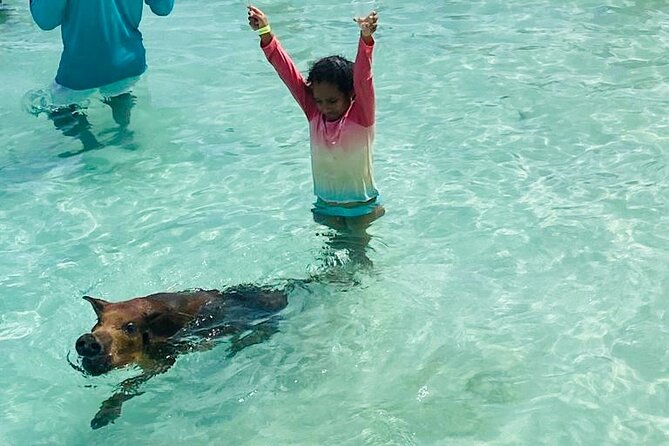 Luxury Catamaran Cruise: Sip, Sail, Snorkel, and Swim with Pigs! - Setting sail from Paradise Island