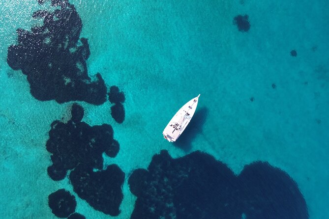 Luxury Catamaran Morning Semi-Private & Greek Gastronomy Athens - Is $165.27 good value?