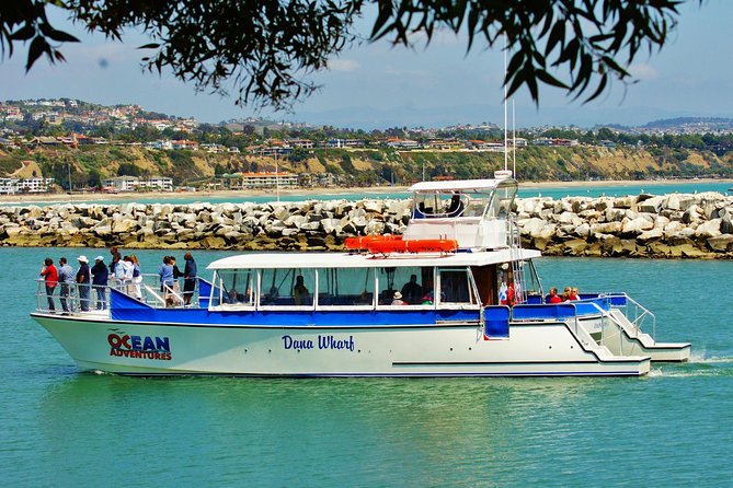 Luxury Catamaran Sunset and Wine Cruise from Dana Point - A look at the Ocean Adventures catamaran