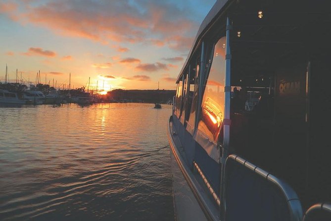 Luxury Catamaran Sunset and Wine Cruise from Dana Point - Timing, weather, and cancellation rules