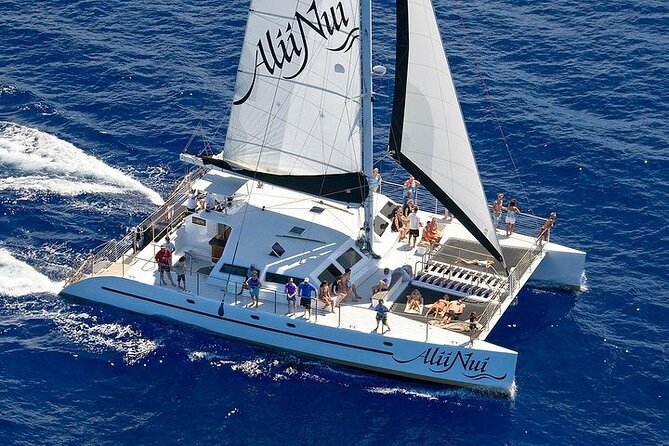 Luxury Catamaran Whale Watch - The hydrophone adds a second way to watch