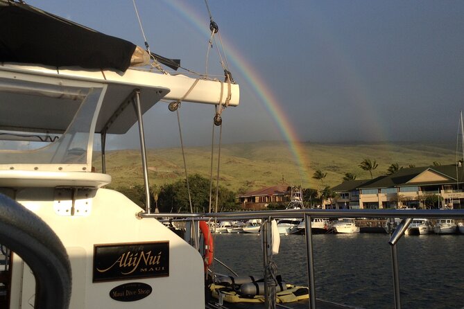Luxury Catamaran Whale Watch - A catamaran built for comfort, not just speed