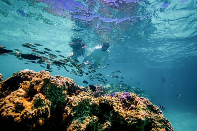 LUXURY PRIVATE Catamaran Bora Bora : Half-Day Trip - The crew makes or breaks the experience