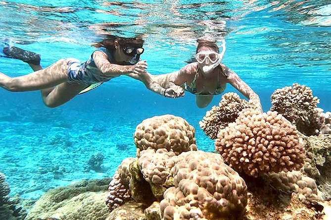 LUXURY PRIVATE Catamaran : Full-Day Sail & Polynesian Motu Lunch - Snorkeling and water time without a crowded schedule