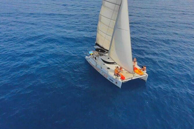 Luxury Private Half-Day Catamaran Charter in Lanzarote - Is $960.19 good value for your group?