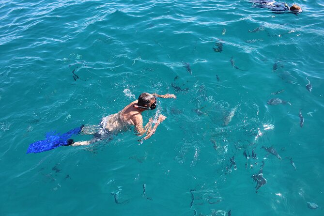 Luxury Snorkel Tour in Sailing Catamaran - Snorkeling at Blue Flag Chileno Beach