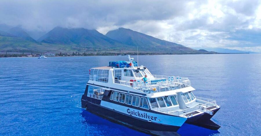 Ma'alaea Harbor: Whale Watching Tour Aboard Power Catamaran - Reading the signs of a humpback whale
