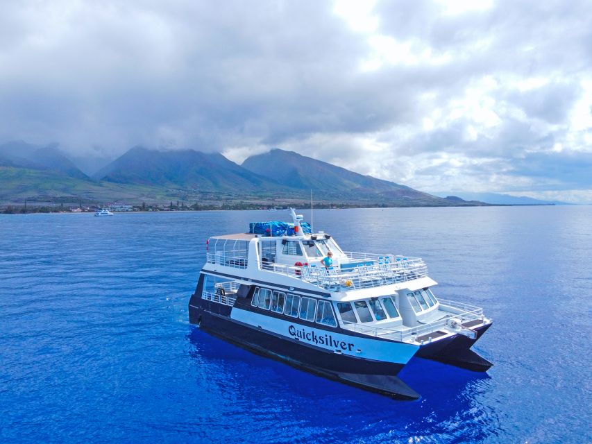Ma'alaea Harbor: Whale Watching Tour Aboard Power Catamaran - The first minutes in Maalaea Bay