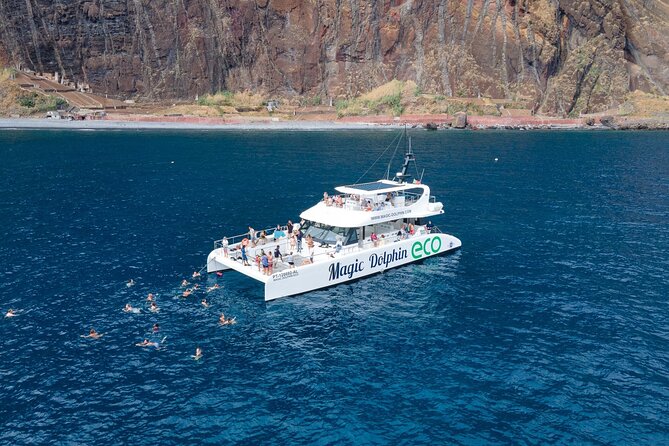 Madeira Dolphin and Whale Watching on a Ecological Catamaran - What Makes This Cruise Worth Your Time