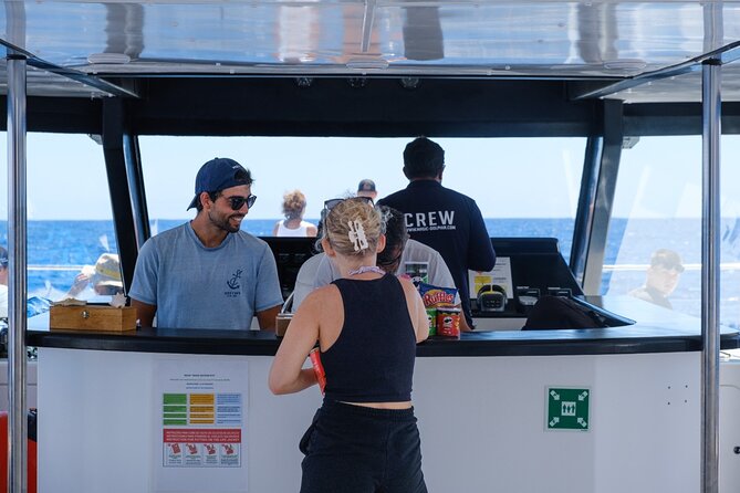 Madeira Dolphin and Whale Watching on a Ecological Catamaran - Dolphins, Pilot Whales, and the Luck Factor