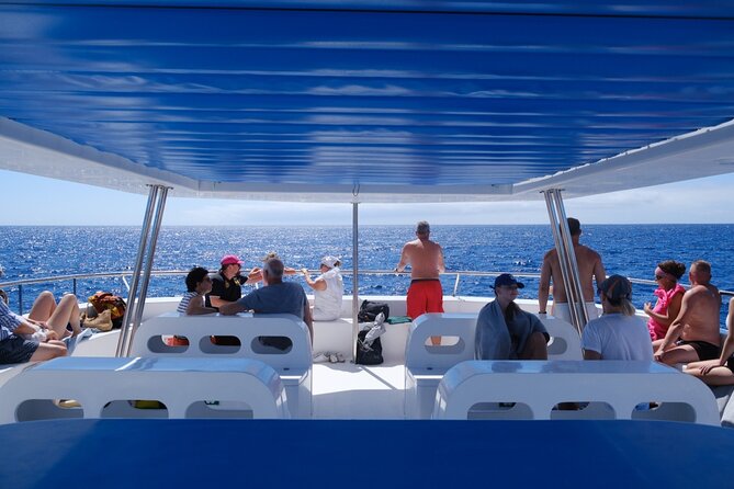 Madeira Dolphin and Whale Watching on a Ecological Catamaran - The Crew, Safety, and Commentary