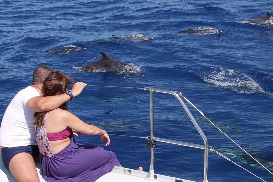 Madeira: Funchal Sunset Tour by Catamaran - Key points before you book
