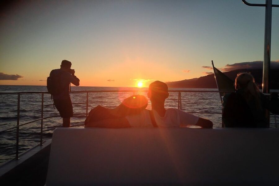 Madeira: Funchal Sunset Tour by Catamaran - Leaving Funchal Marina for the evening