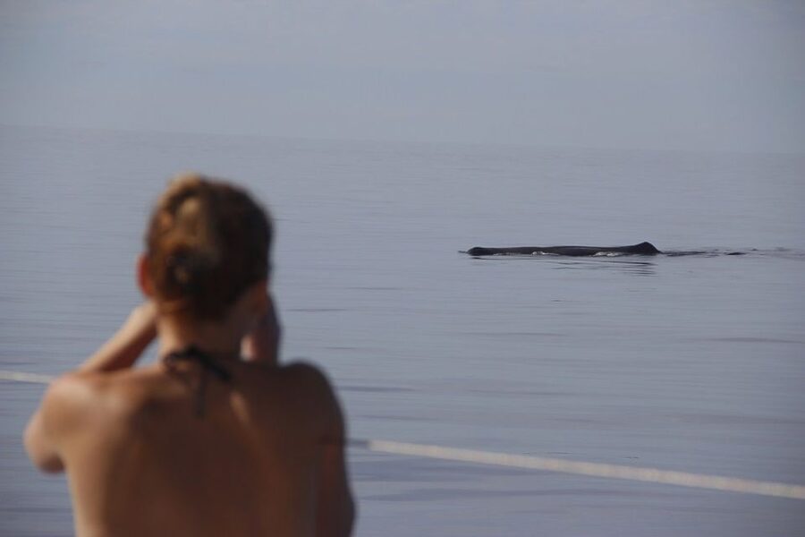 Madeira: Funchal Sunset Tour by Catamaran - How comfortable is the catamaran?