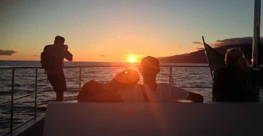 Madeira: Funchal Sunset Tour by Catamaran - Watching Madeira from the water