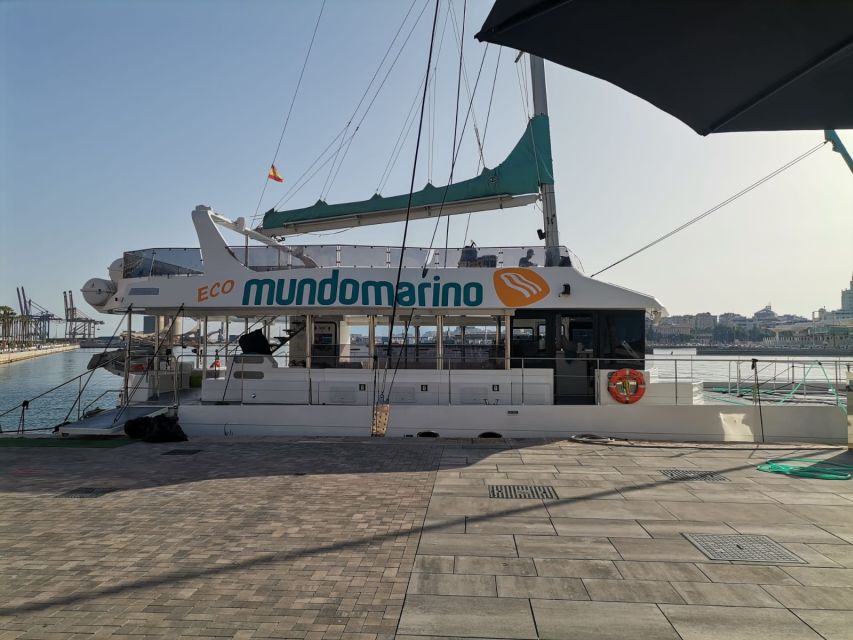 Malaga: A Sea of Stars Nighttime Stargazing Catamaran Tour - Key points before you board