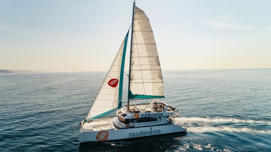 Malaga: Catamaran Sailing Cruise with Swimming & Optional DJ - The swimming stop: fun, but not a full beach session