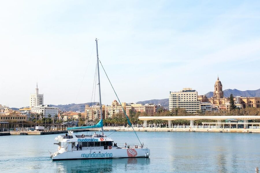 Malaga: Sailing Catamaran with Swimming and Paella Lunch - Swimming in the open sea