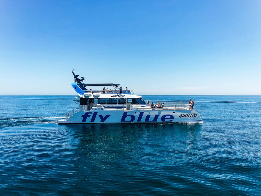 Málaga: Scenic Catamaran Cruise - A quiet cruise, not a guided tour