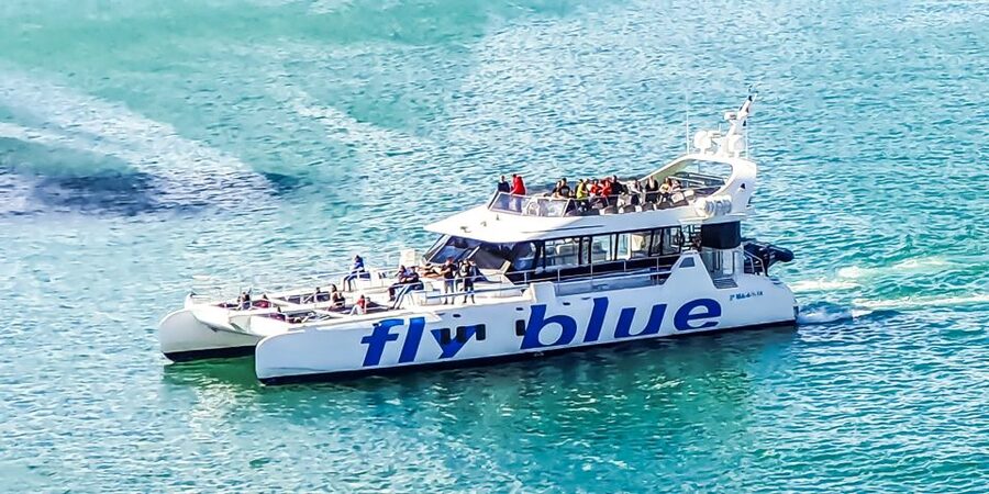 Málaga: Scenic Catamaran Cruise - Who will enjoy this catamaran most