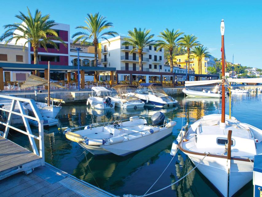 Mallorca: Catamaran Coastal Cruise with Lunch - Key points to know before booking