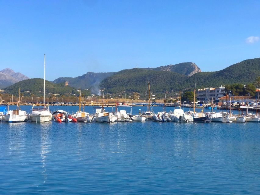 Mallorca: Catamaran Coastal Cruise with Lunch - Seeing the southwest coast from the catamaran