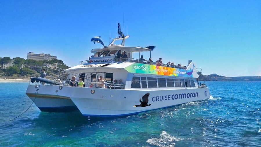 Mallorca: Catamaran Coastal Cruise with Lunch - Cala Egos and the first swim stop