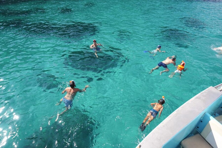 Mallorca: Catamaran Coastal Cruise with Lunch - Forty minutes at exclusive Port Andratx