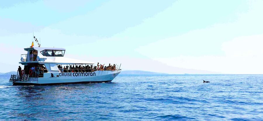 Mallorca: Catamaran Coastal Cruise with Lunch - The second bay and the ride back
