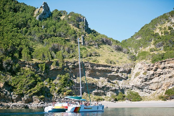 Mallorca Catamaran Cruise with Scenic Views and BBQ Lunch - Setting out from Port d’Alcúdia