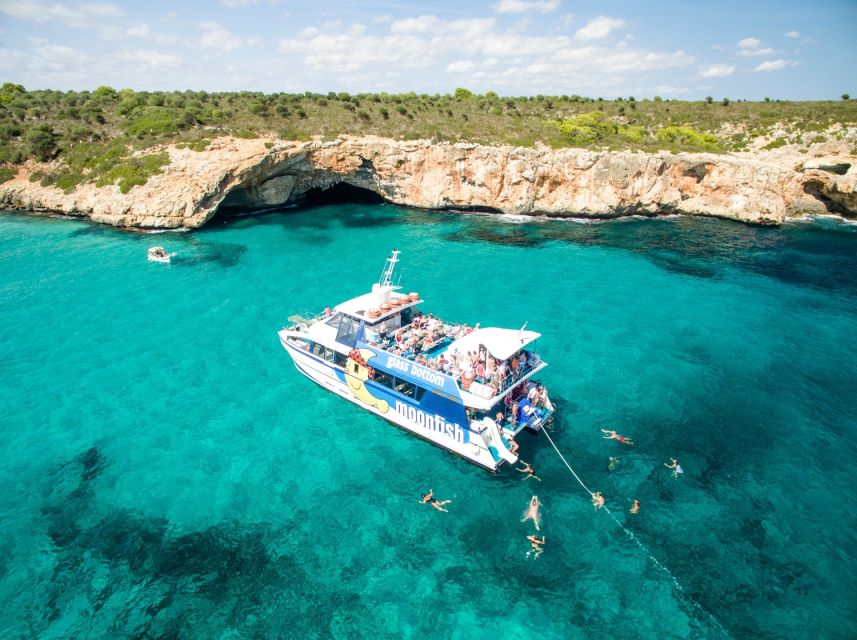 Mallorca: Glass-Bottom Catamaran Along the East Coast - Glass-Bottom Viewing and Onboard Comfort