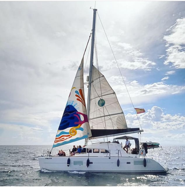 Marbella: Group Dolphin Watching Catamaran Tour with Snacks - What the two-hour cruise is really like