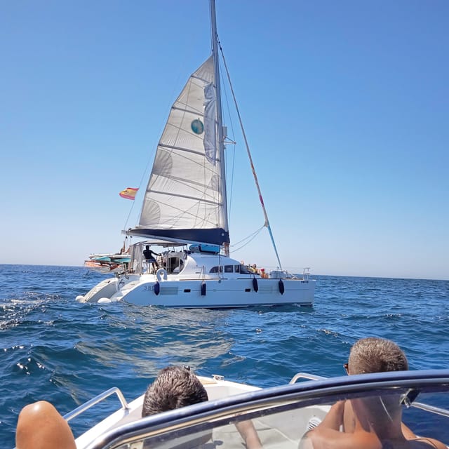 Marbella: Private Cruise in Catamaran - Looking for Dolphins Along the Marbella Coast