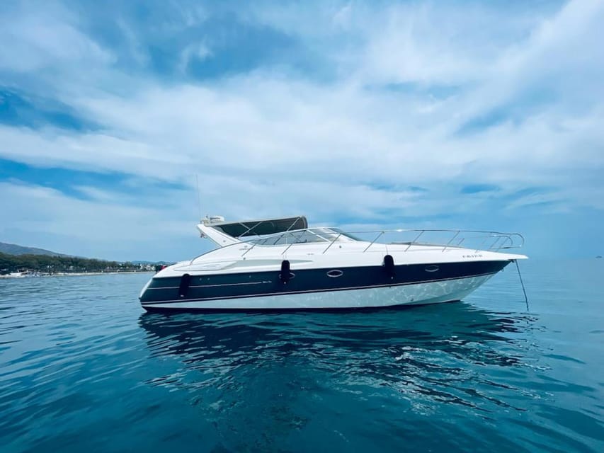 Marbella: Puerto Banús 2-hour luxury catamaran - Dolphins: a pleasant possibility, not a guarantee