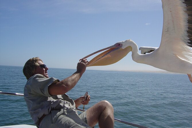 Marine Dune Day: Catamaran Cruise and Sandwich Harbor Dune Drive - Is $222.07 a fair price?