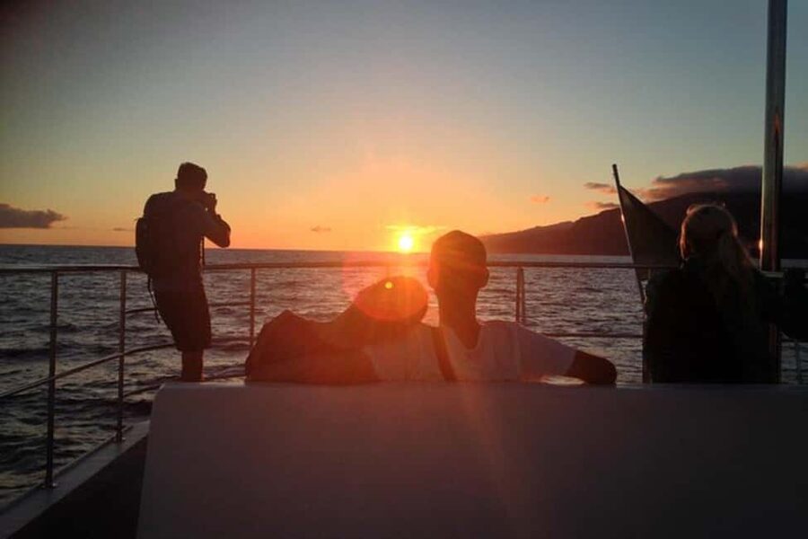 Marseille: Sunset catamaran cruise, buffet & drinks - Who will enjoy this cruise most?