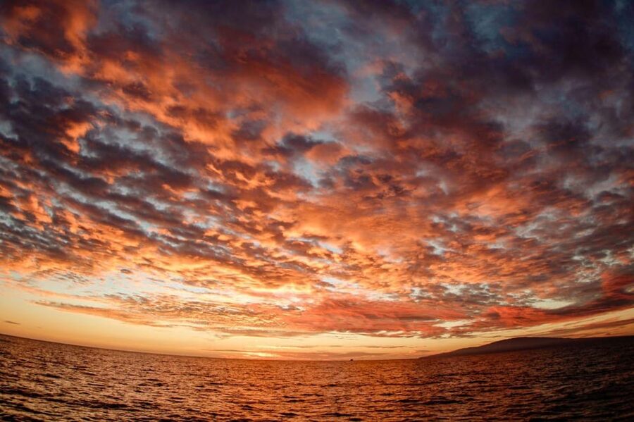 Maui: Luxury Catamaran Royal Sunset 5-Course Dinner Cruise - Booking, timing, and practical planning