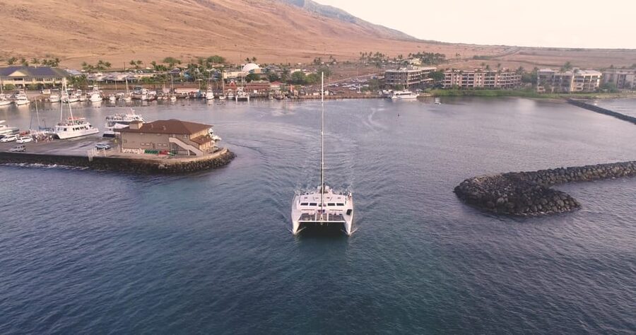 Maui: Luxury Catamaran Turtles & Tacos Snorkel - What the water portion feels like