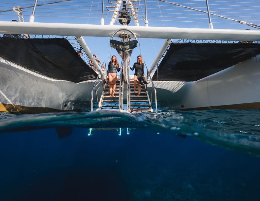 Maui: Luxury Catamaran Turtles & Tacos Snorkel - Photos for sale, not part of the price