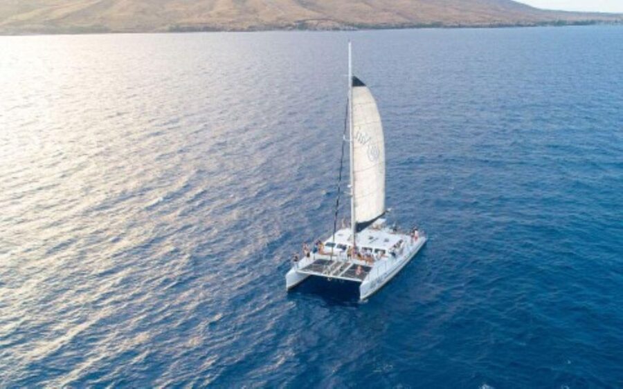 Maui: Luxury Catamaran Whale Watch & Sail - Why the hydrophone changes the experience