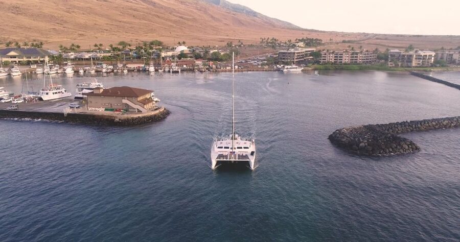 Maui: Luxury Catamaran Whale Watch & Sail - Two hours devoted to humpback whales