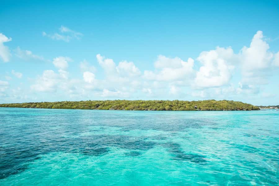 Mauritius: Catamaran Cruise to Ile aux Cerfs with BBQ Lunch - Should You Book the Ile aux Cerfs Catamaran Cruise?