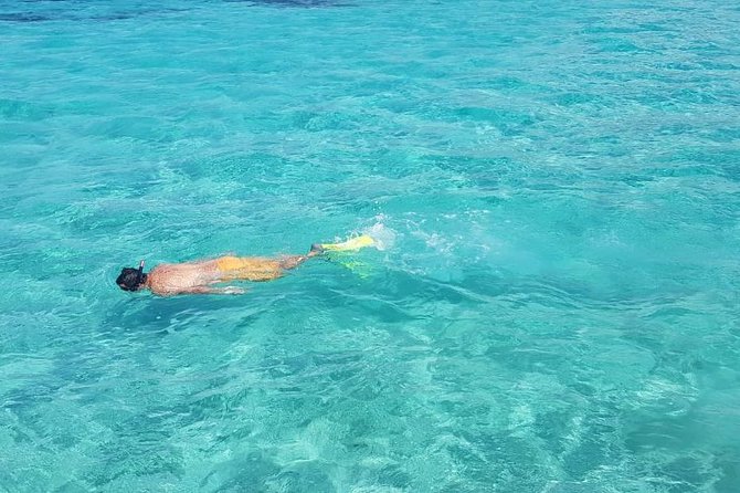 Mauritius : Full day All inclusive Ile aux cerfs Catamaran cruise - A halal breakfast, barbecue lunch, and open drinks