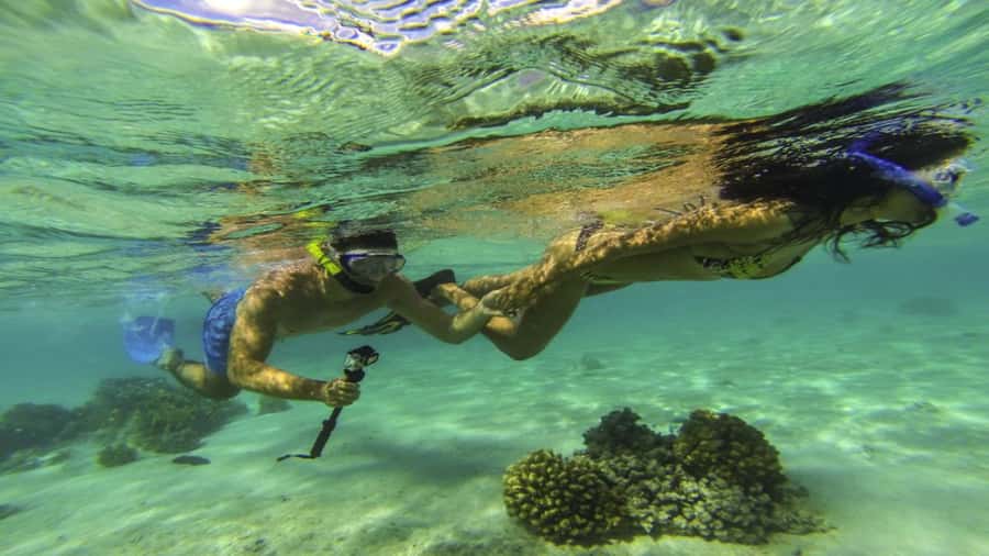 Mauritius: Ile aux Cerf Catamaran w/Waterfall Visit & Lunch - Key points to know before you book