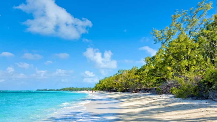 Mauritius: Ile aux Cerf Catamaran w/Waterfall Visit & Lunch - What the $70 price really includes