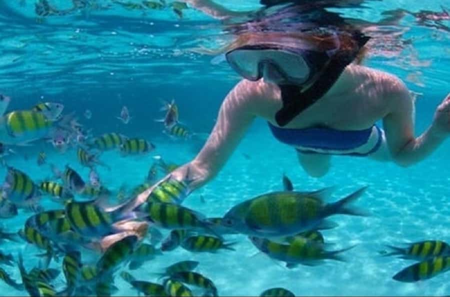 Mauritius: Ile Aux Cerfs Catamaran Cruise with Lunch - What $64 gets you