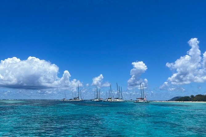 Mauritius: Ile Aux Cerfs Catamaran Tour with Lunch and Drinks - Who will enjoy this catamaran day?
