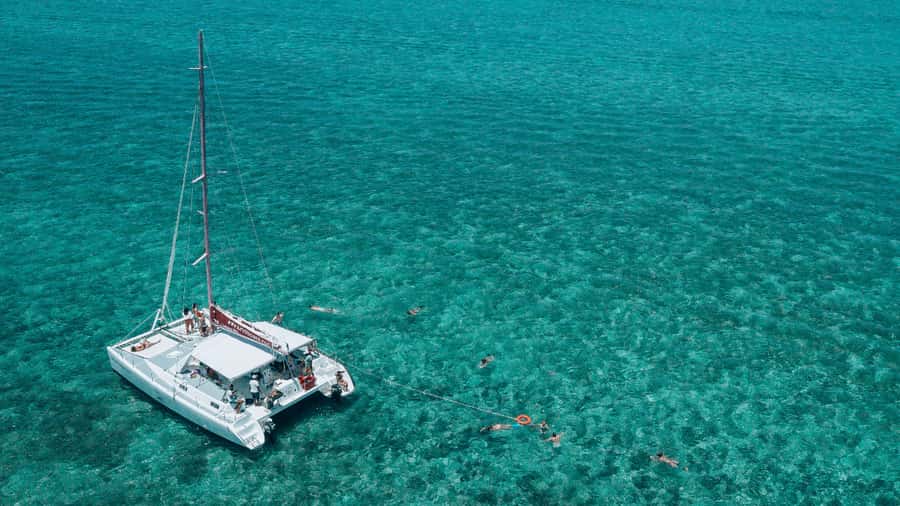 Mauritius: Private Catamaran Tour to île aux Cerfs - Looking for Dolphins in Open Water