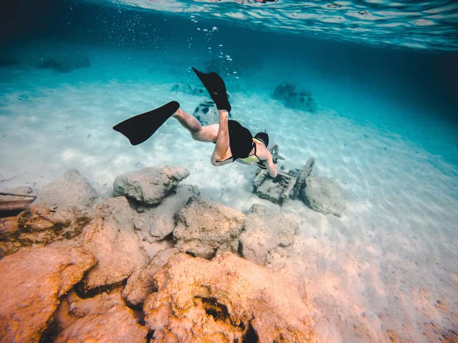 Miami: Key West with Catamaran Tour, Drinks, and Free Time - Choosing snorkeling or dolphin watching